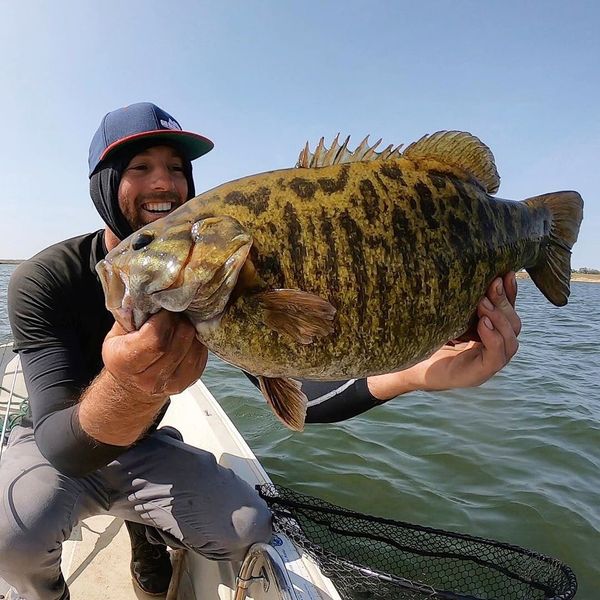 Giant smallmouth bass catch on freshwater fishing trip