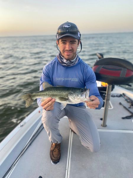 Catch bass Lake June Florida