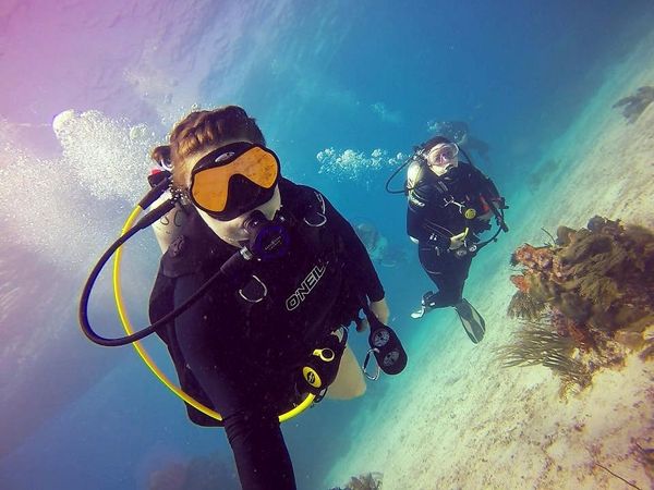 Underwater adventure await—let's dive in! #Alachua