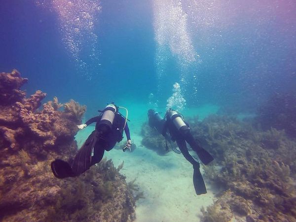 Dive deep in Alachua FL!