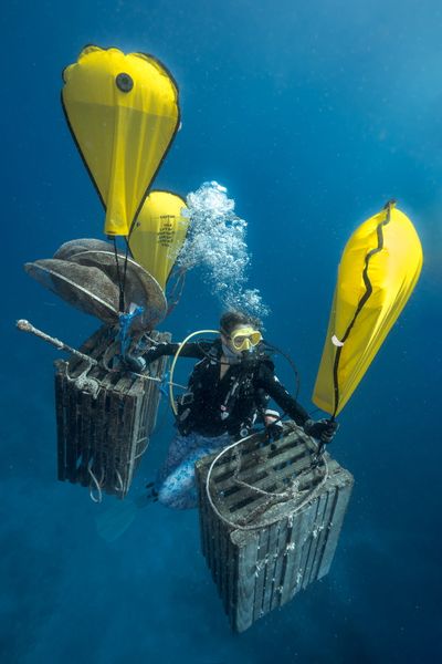 Lift bags deployed during underwater dive operation in Islamorada.