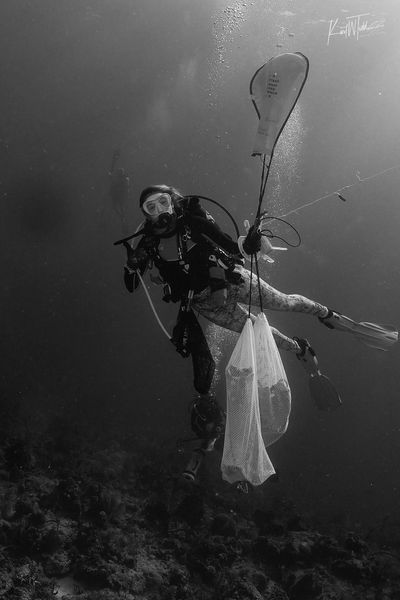 Diving action in the clear waters of Islamorada FL