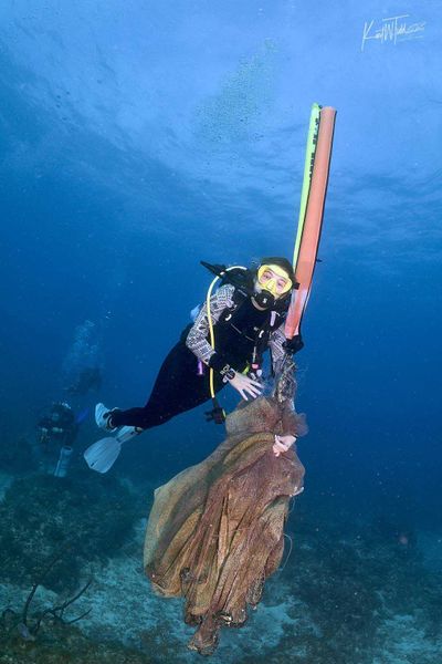 Underwater cleanup mission in Islamorada waters.