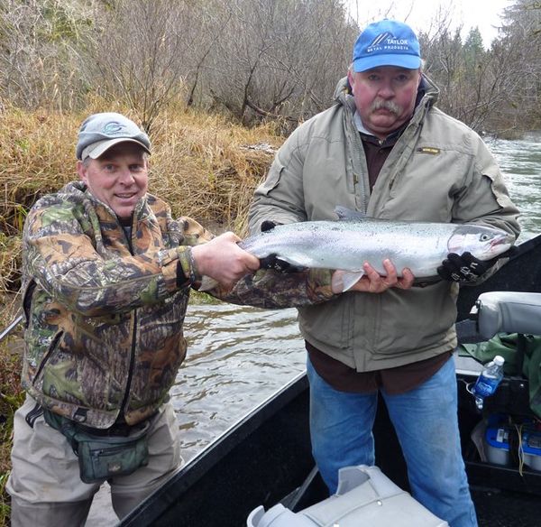 More of these beautiful Rainbow Trout on the way!