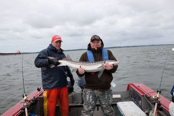 Nothing beats reeling in an amazing Sturgeon!