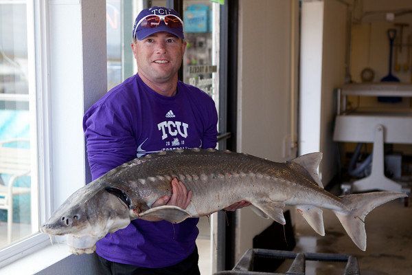 Perfect Sturgeon on display! Come to Oregon!!