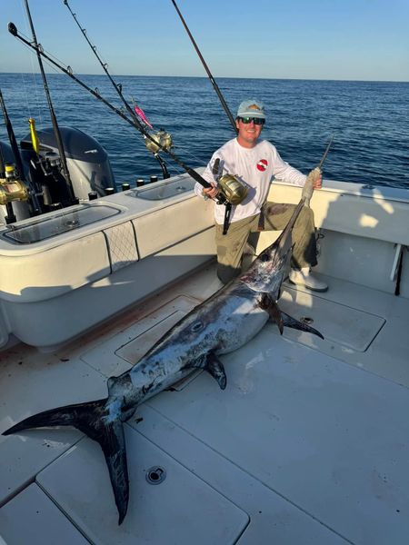 Offshore giants in the Gulf