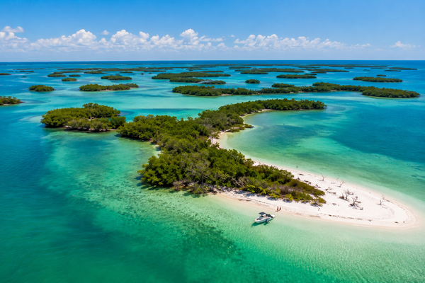 Paradise awaits in Marco Island's pristine island waters!