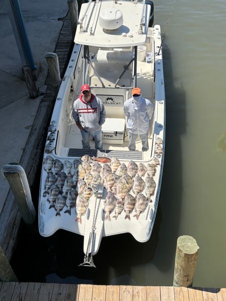 Bentrod Fishing Charters-galleryimage-8