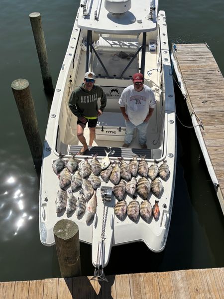 Bentrod Fishing Charters-galleryimage-6