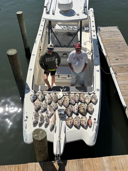Bentrod Fishing Charters-galleryimage-7