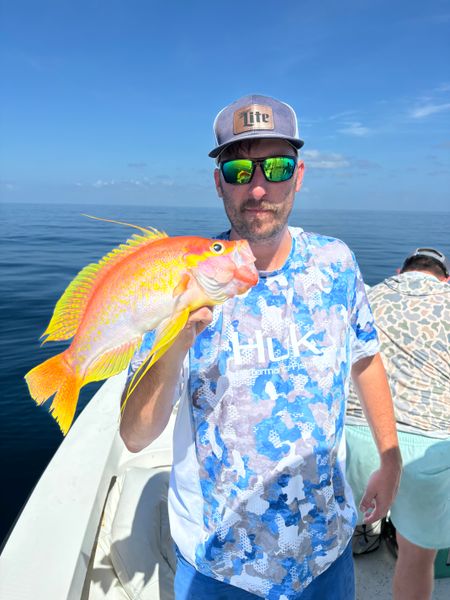 Bentrod Fishing Charters-galleryimage-2