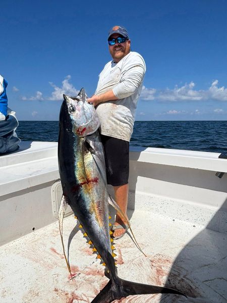 Whopping Tuna Catch! -Grand Isle, LA.