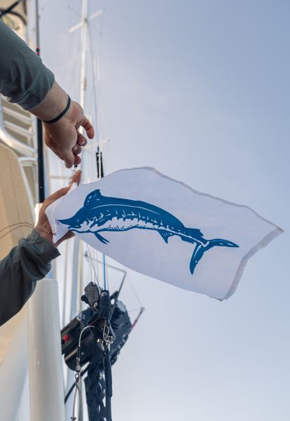 Charter boat flag waves proudly on the open water.