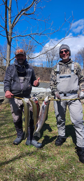 Fresh rainbow trout from Evans Mills NY waters!