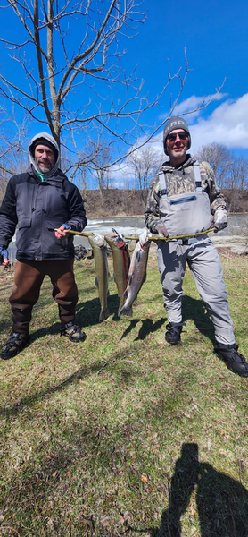Fresh rainbow trout caught in Evans Mills NY!