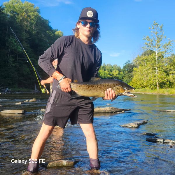 Beautiful Atlantic salmon from Evans Mills NY waters!
