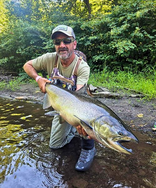 Monster Chinook salmon from Evans Mills NY waters!