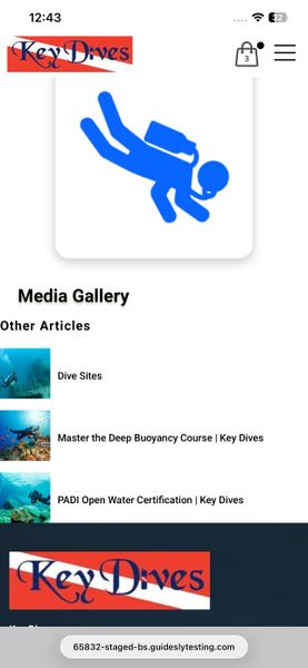 Dive into adventure with professional scuba diving experiences.