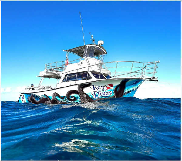 Ready for underwater adventures in Chennai waters!