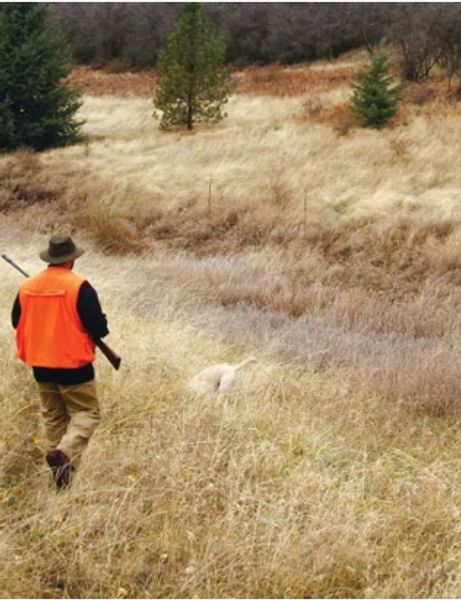 Tracking through prime hunting terrain in open grasslands.