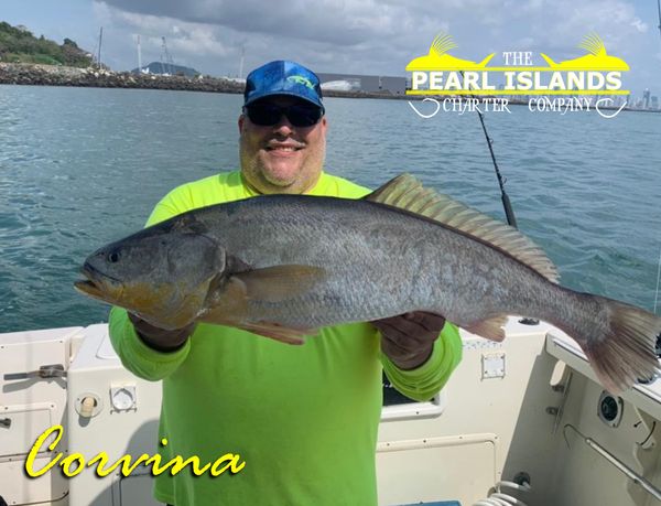 The Pearl Island Charter Co.-galleryimage-8