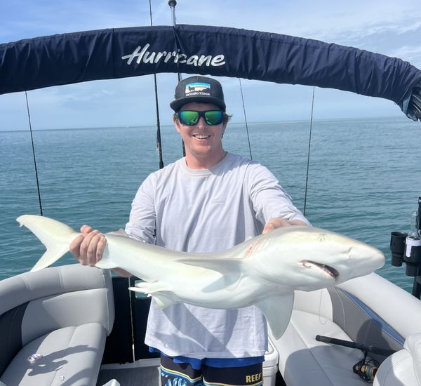Nothing Like Shark Fishing Come Try It Out!