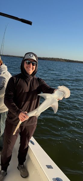 Inshore Shark Fishing In Bonita Springs