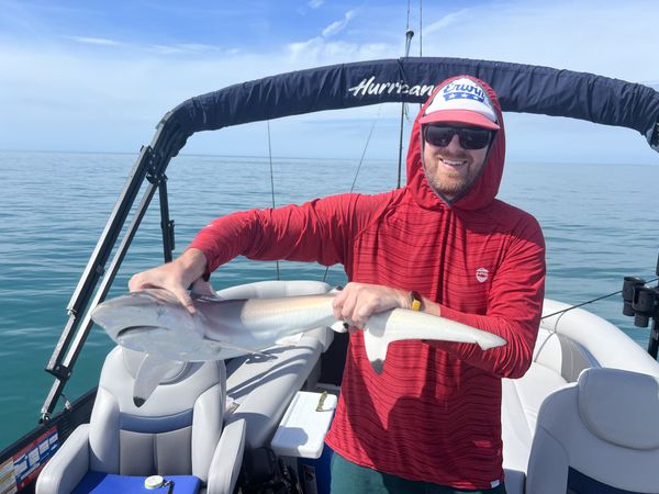 Shark Fishing Charters On Florida's Gulf Coast