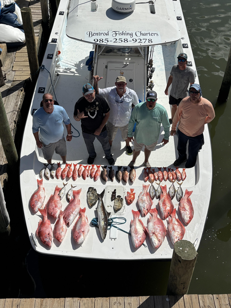 Huge Cobia and Red Snapper caught jigging in stormy Grand Isle!