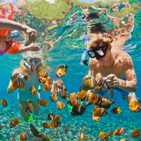 Best snorkeling Lauderdale by the Sea FL
