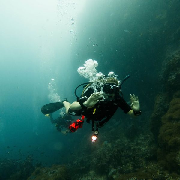 Explore Pompano Beach reefs on a guided dive