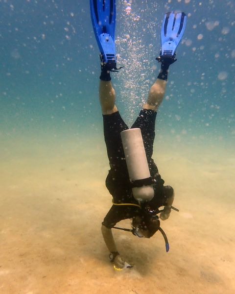 Scuba diving charters for certified divers in Palm Beach
