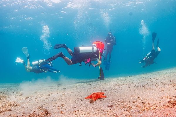 Guided diving trip near Boynton Beach FL