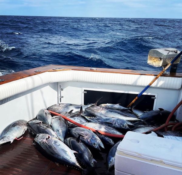Guests aboard a luxury yacht for a private fishing charter and cruise
