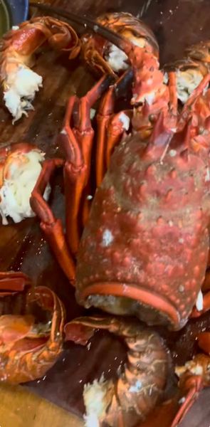 Fresh San Diego lobsters ready for the feast!