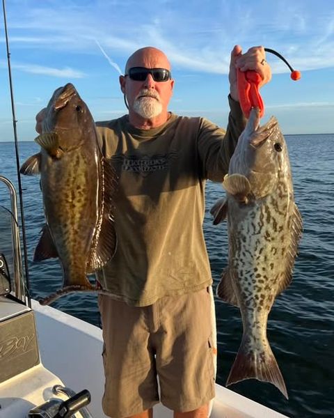 Crystal River grouper fishing offers incredible opportunities to reel in quality catches while exploring productive reefs, ledges, and rocky bottom structures.