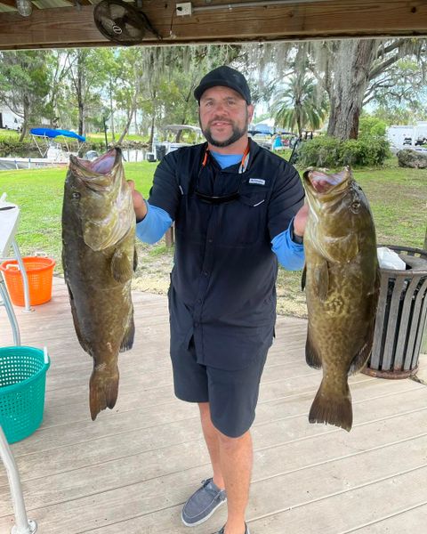 Whether you're an experienced angler or trying offshore fishing for the first time, Crystal River grouper trips deliver unforgettable action and impressive catches.