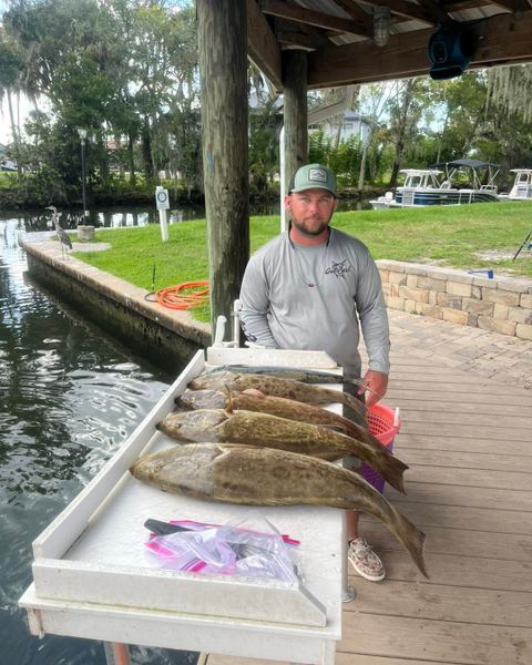 Fish the productive Gulf reefs near Crystal River, where grouper season brings exciting opportunities for anglers looking to fill the cooler.