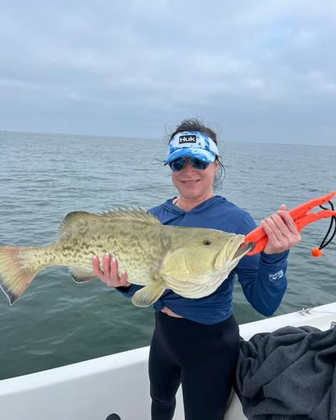 Head offshore from Crystal River and battle hard-fighting gag grouper on one of Florida's premier Gulf Coast fishing adventures.