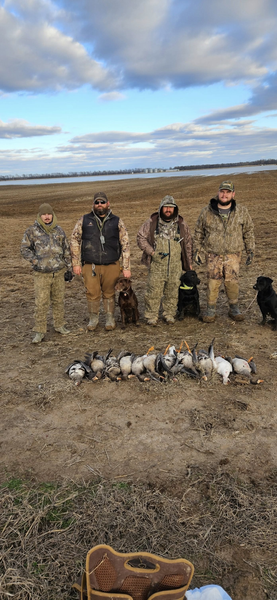best guided duck hunting trips in Austin Arkansas