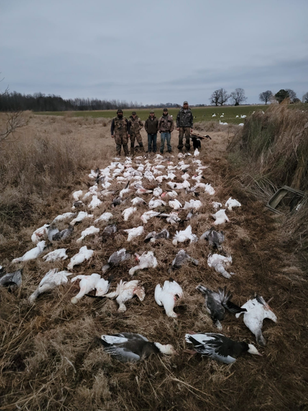 Family hunts in quiet timber halls