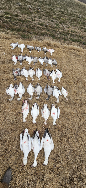 Call -n- Anser Outfitters-galleryimage-3