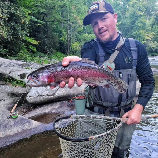The trout are biting