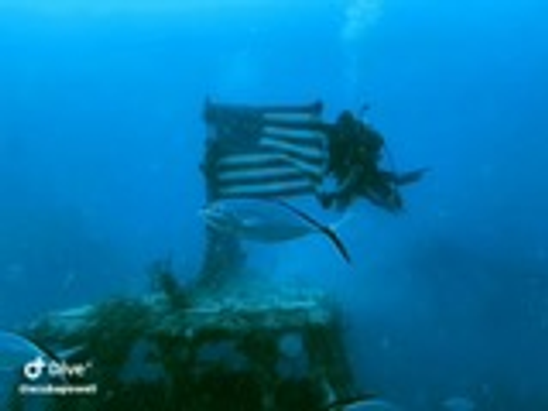 Exploring vibrant coral reefs in Key Largo's crystal waters!