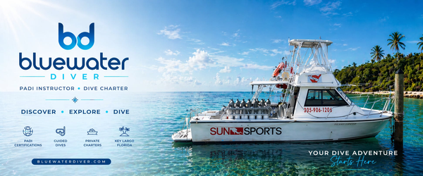 Perfect diving conditions await in Key Largo's crystal waters!