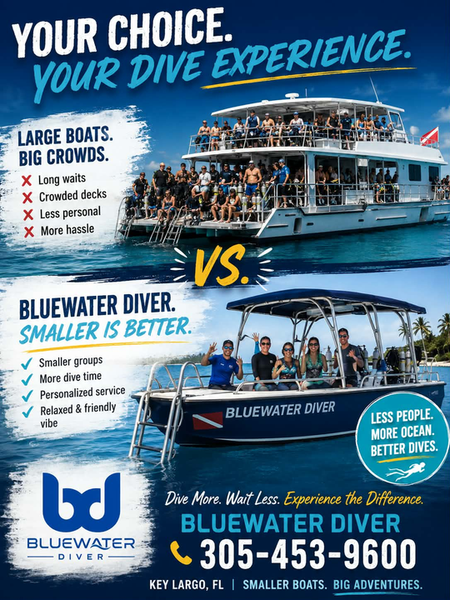 Diving adventures await in Key Largo's crystal waters!