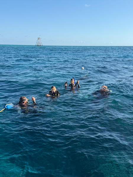 Exploring the crystal clear waters of Key Largo underwater!