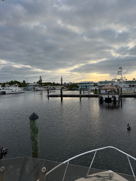 Perfect marina setting in Key Largo with visiting pelican.