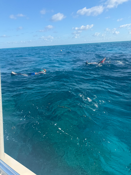 Crystal clear waters perfect for Key Largo snorkeling adventures!